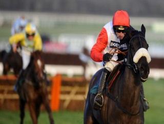Big Buck's will have a new rider in the saddle when he returns to Cheltenham
